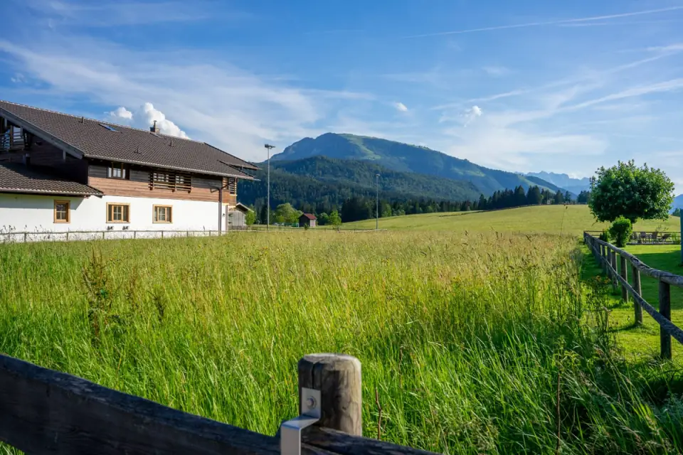 Landhaus mit Holzfassade neben einer Blumenwiese, im Hintergrund Berge